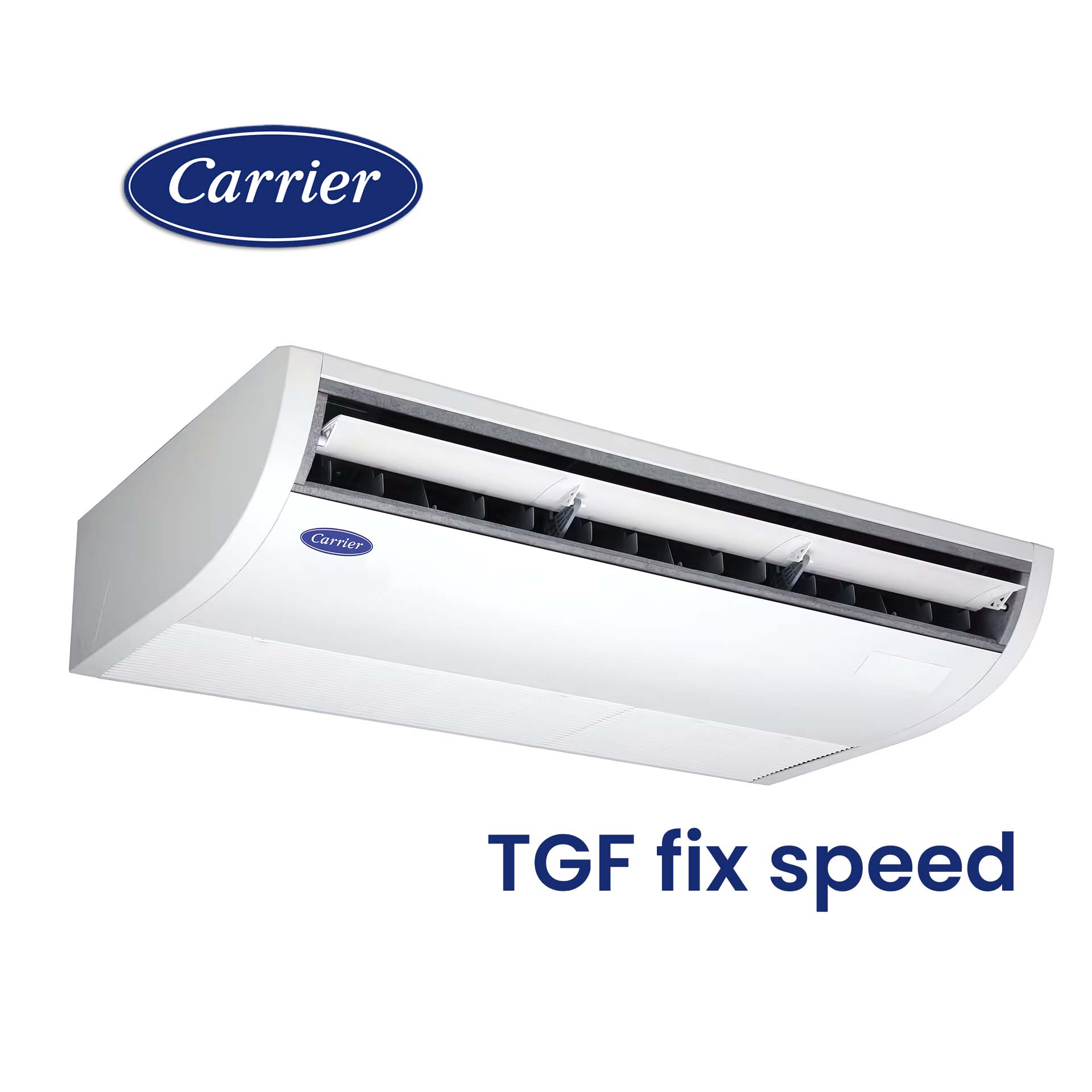 TGF fix speed